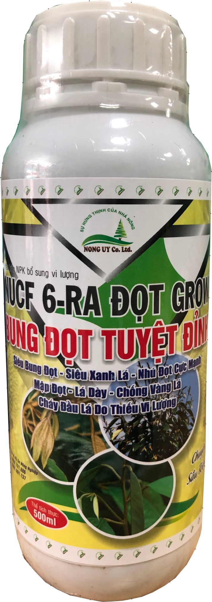 Bung Đọt Tuyệt Đỉnh Sầu Riêng