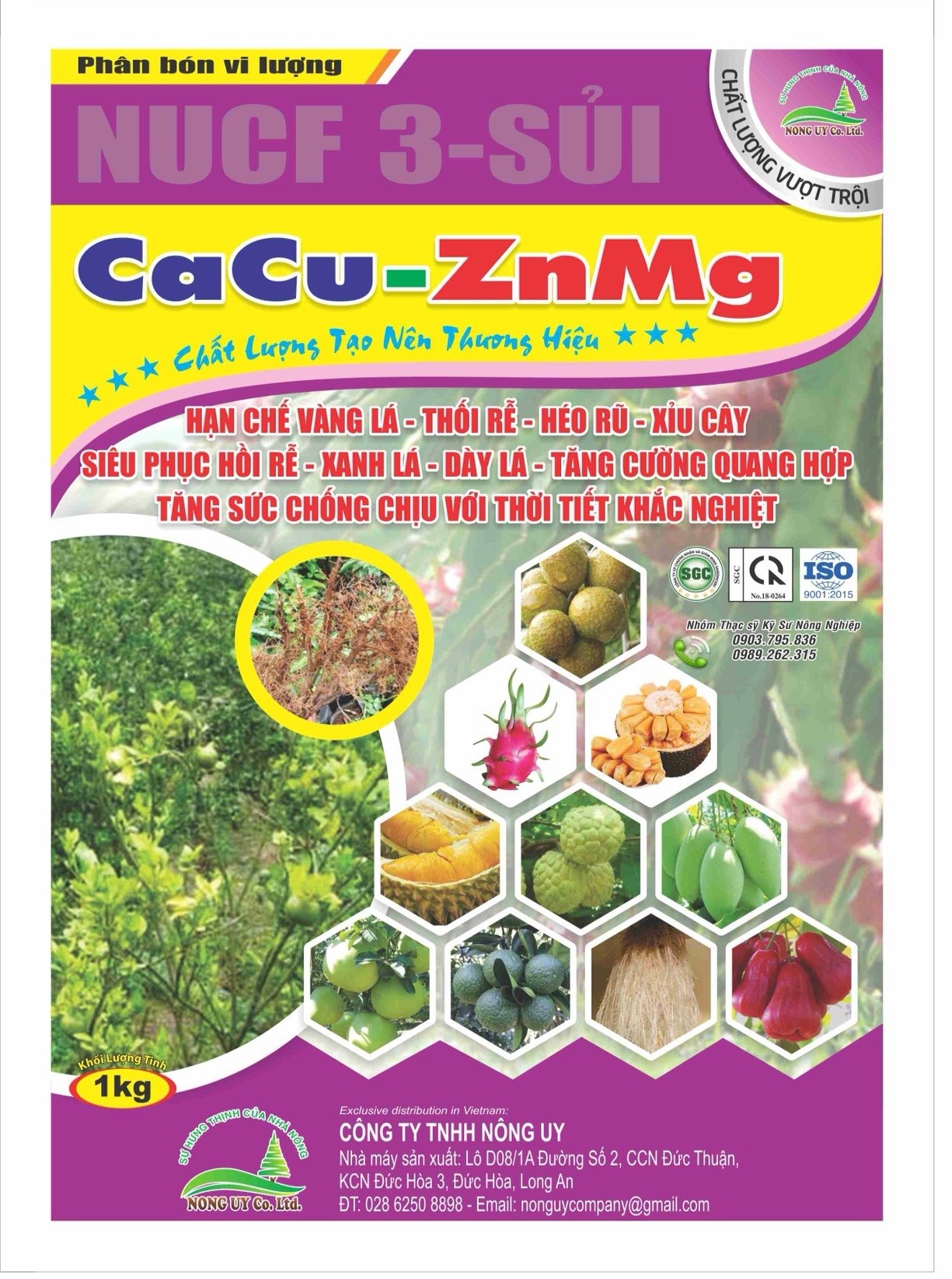 Ca Cu – Zn Mg