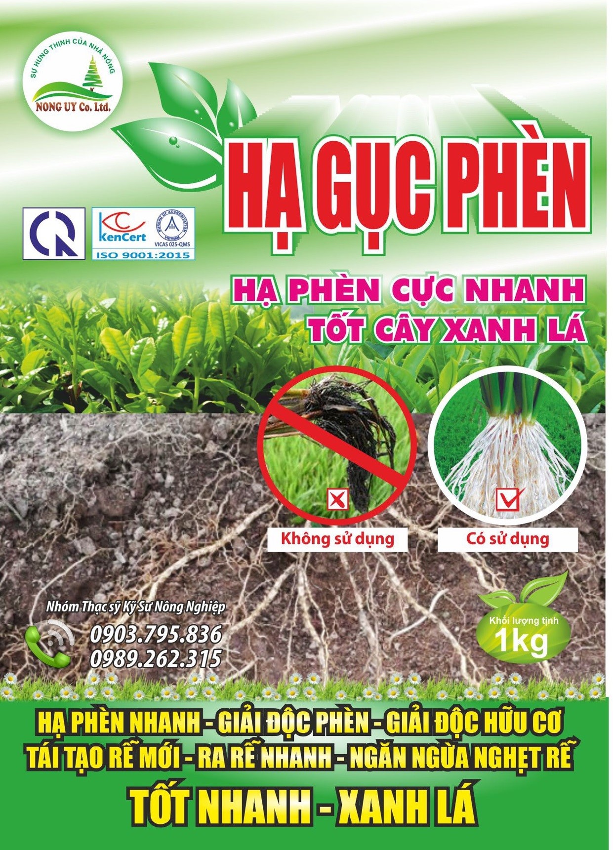 Hạ Gục Phèn