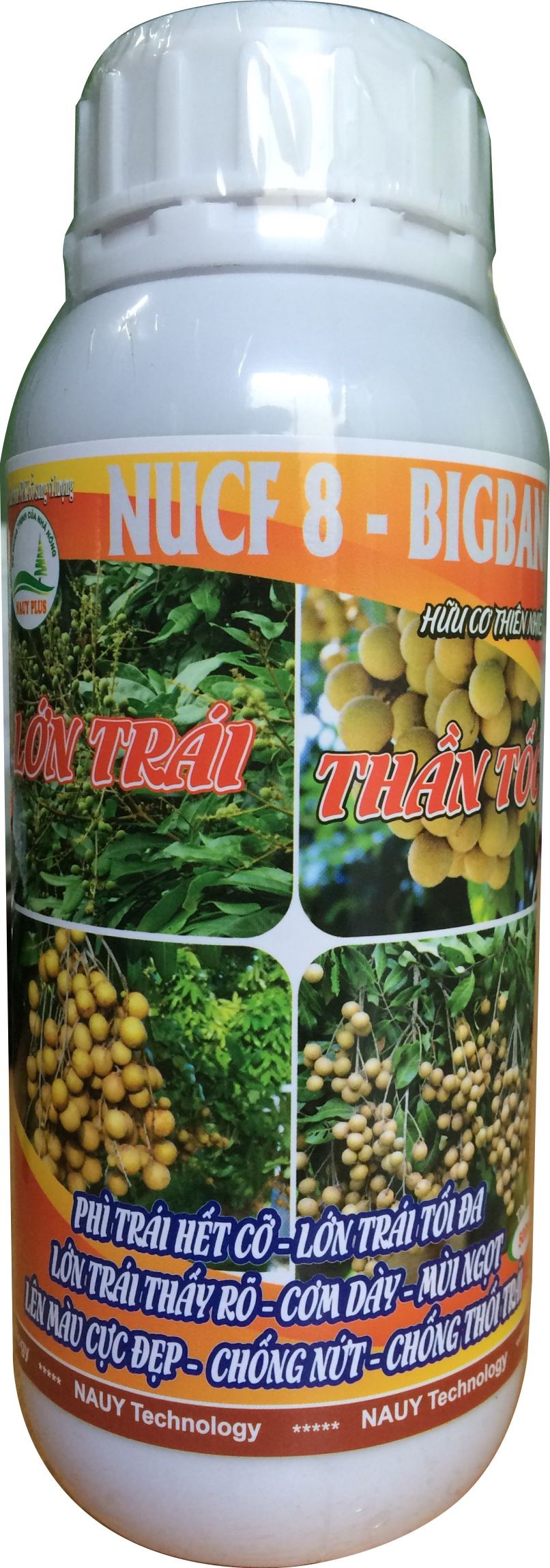 Lớn Trái Thần Tốc Nhãn