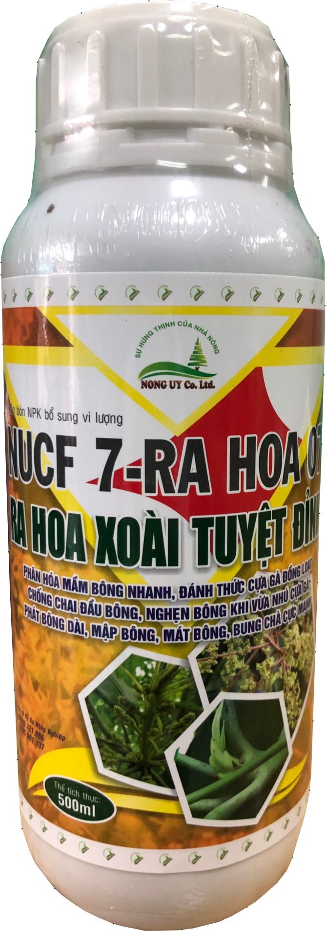 Ra Hoa Xoài Tuyệt Đỉnh