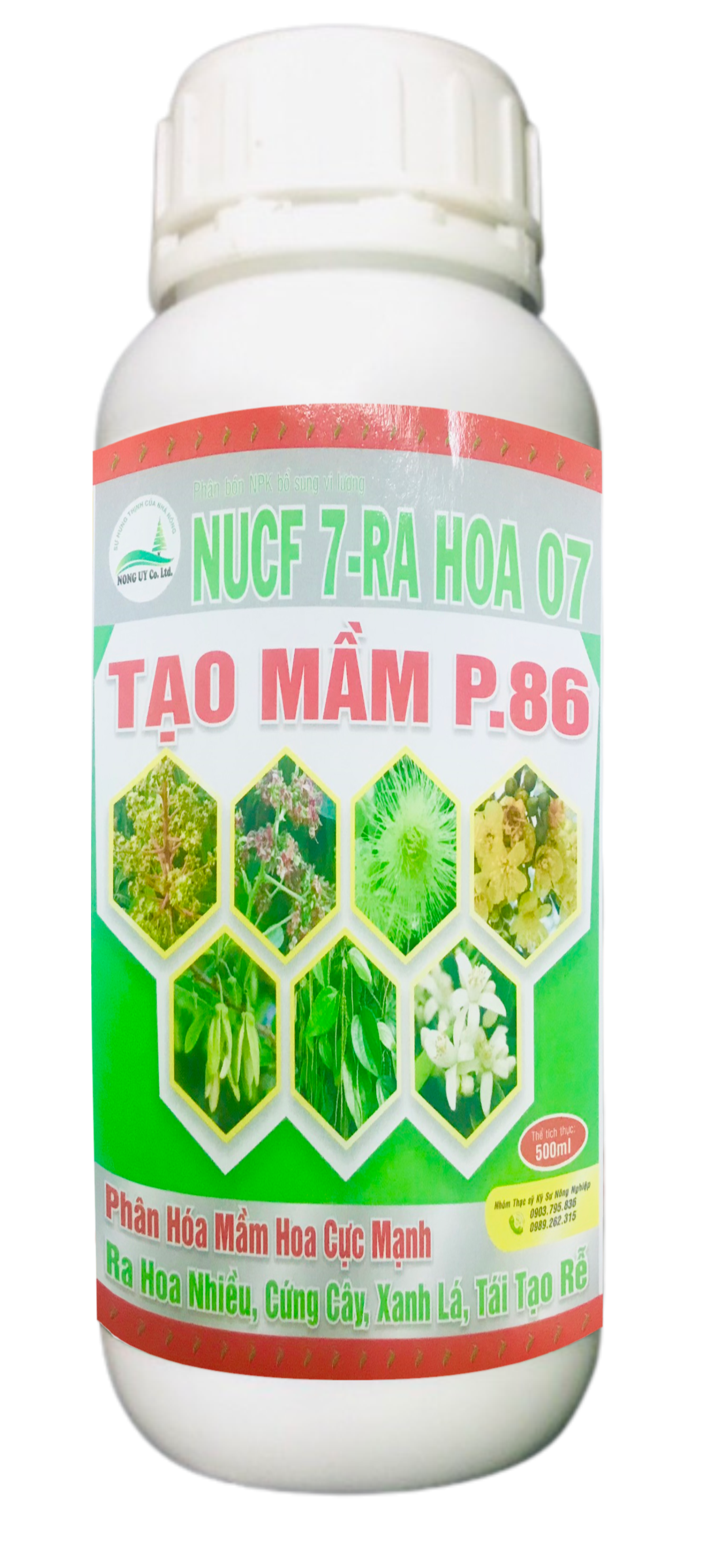 Tạo Mầm P.86