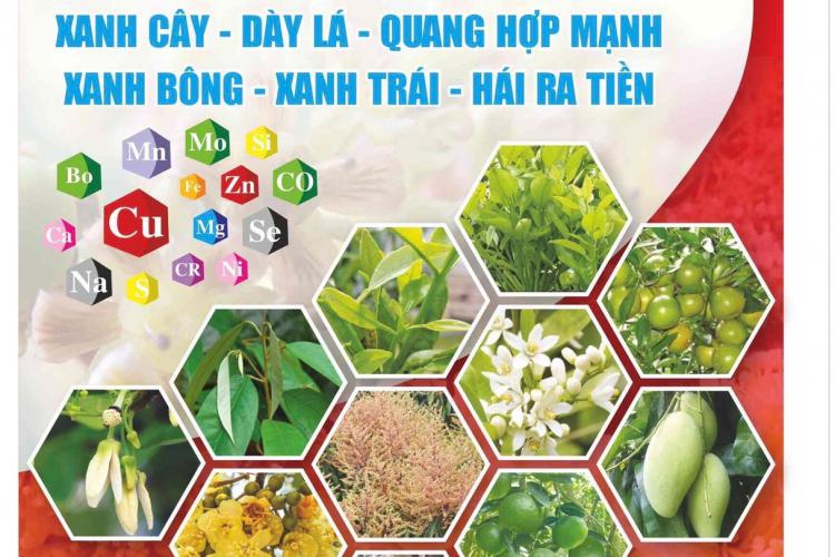 Trung Vi Lượng Thế Hệ Mới