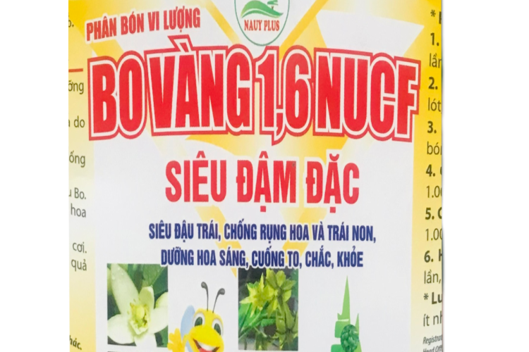 BO VÀNG NÔNG UY 