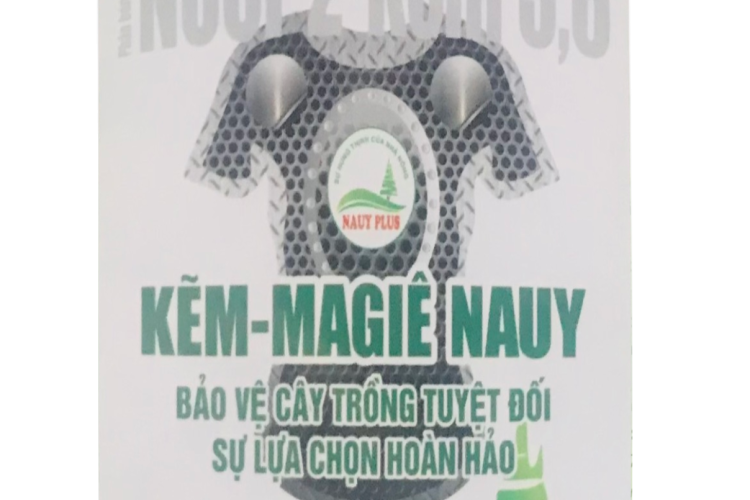 Kẽm magie nauy