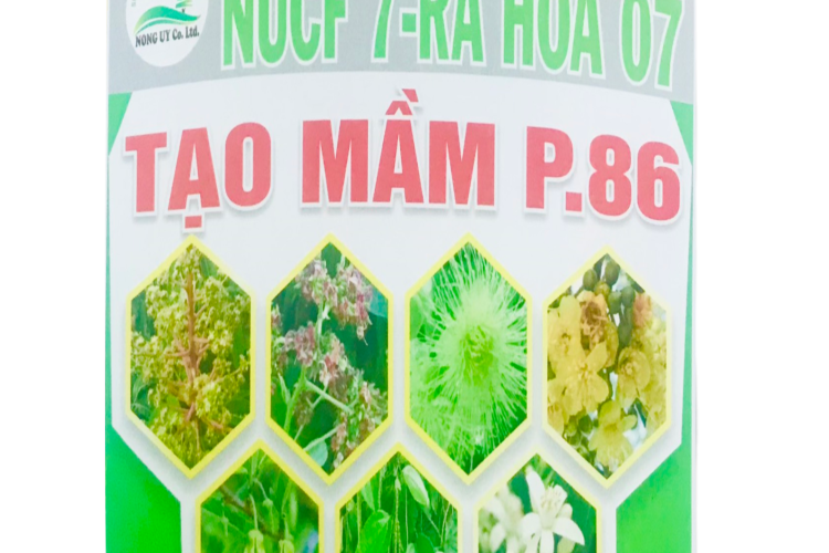 Tạo Mầm P.86