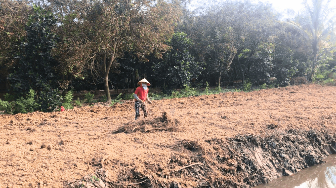 xử lý đất trồng