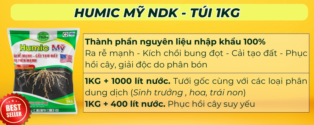 phân bón thanh long