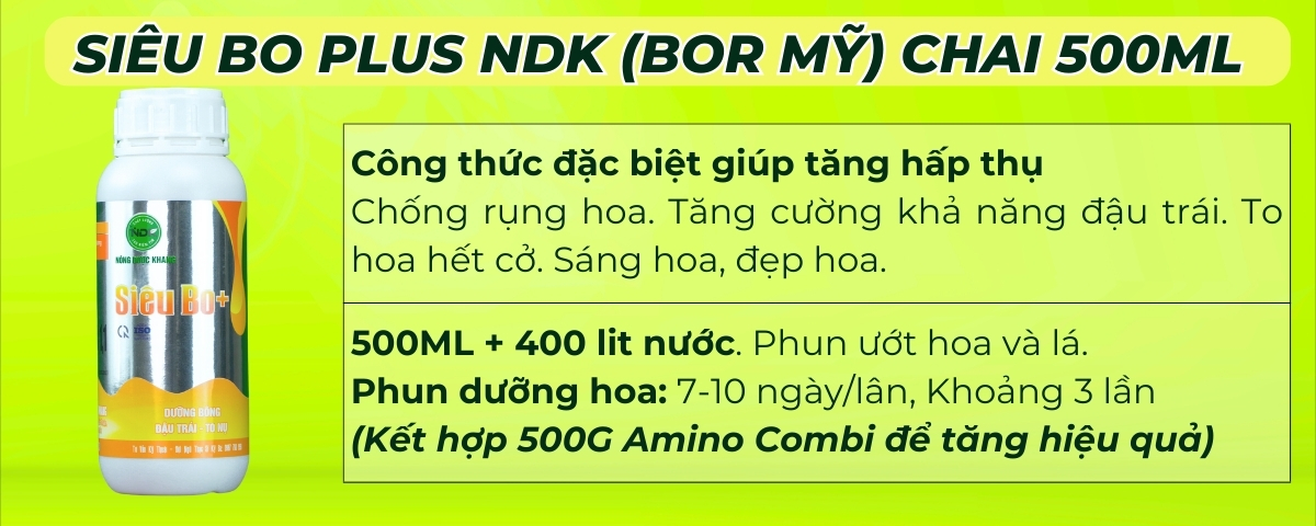 BÓN GỐC CHO CÂY ĂN QUẢ ĐÚNG CÁCH & TIẾT KIỆM