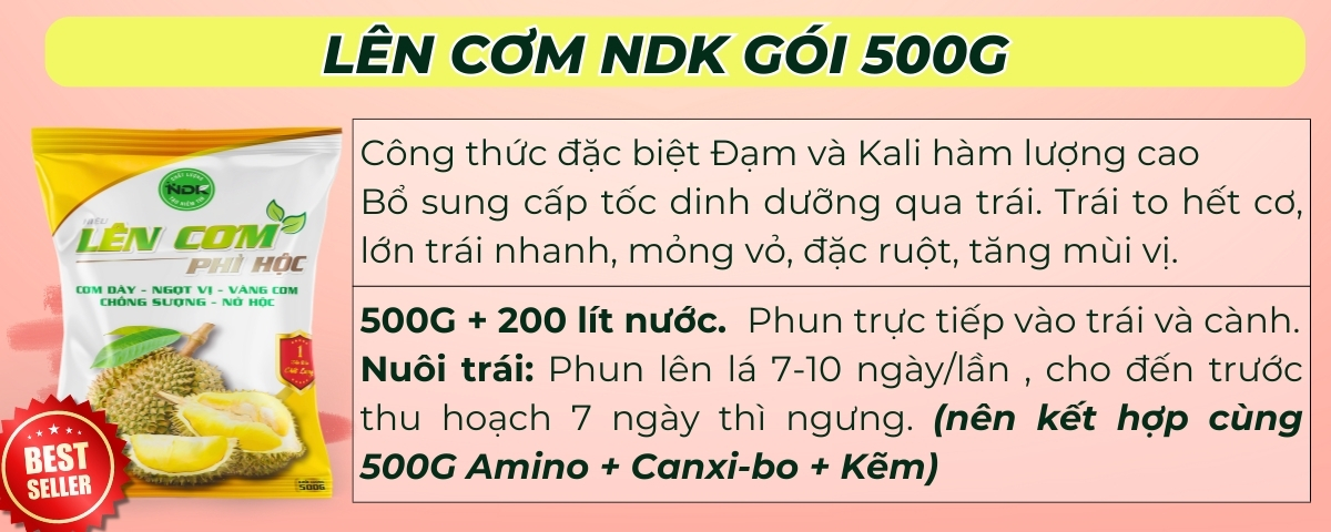 BÓN GỐC CHO CÂY ĂN QUẢ ĐÚNG CÁCH & TIẾT KIỆM